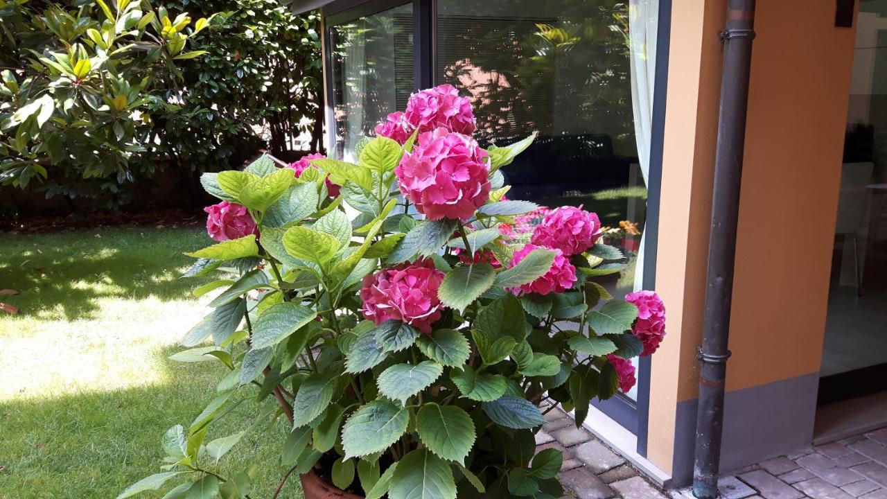 La Magnolia B&B Bologna Exterior foto